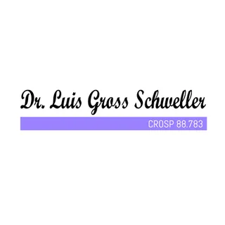 Dr. Luis Gross Schweller - CROSP 88783